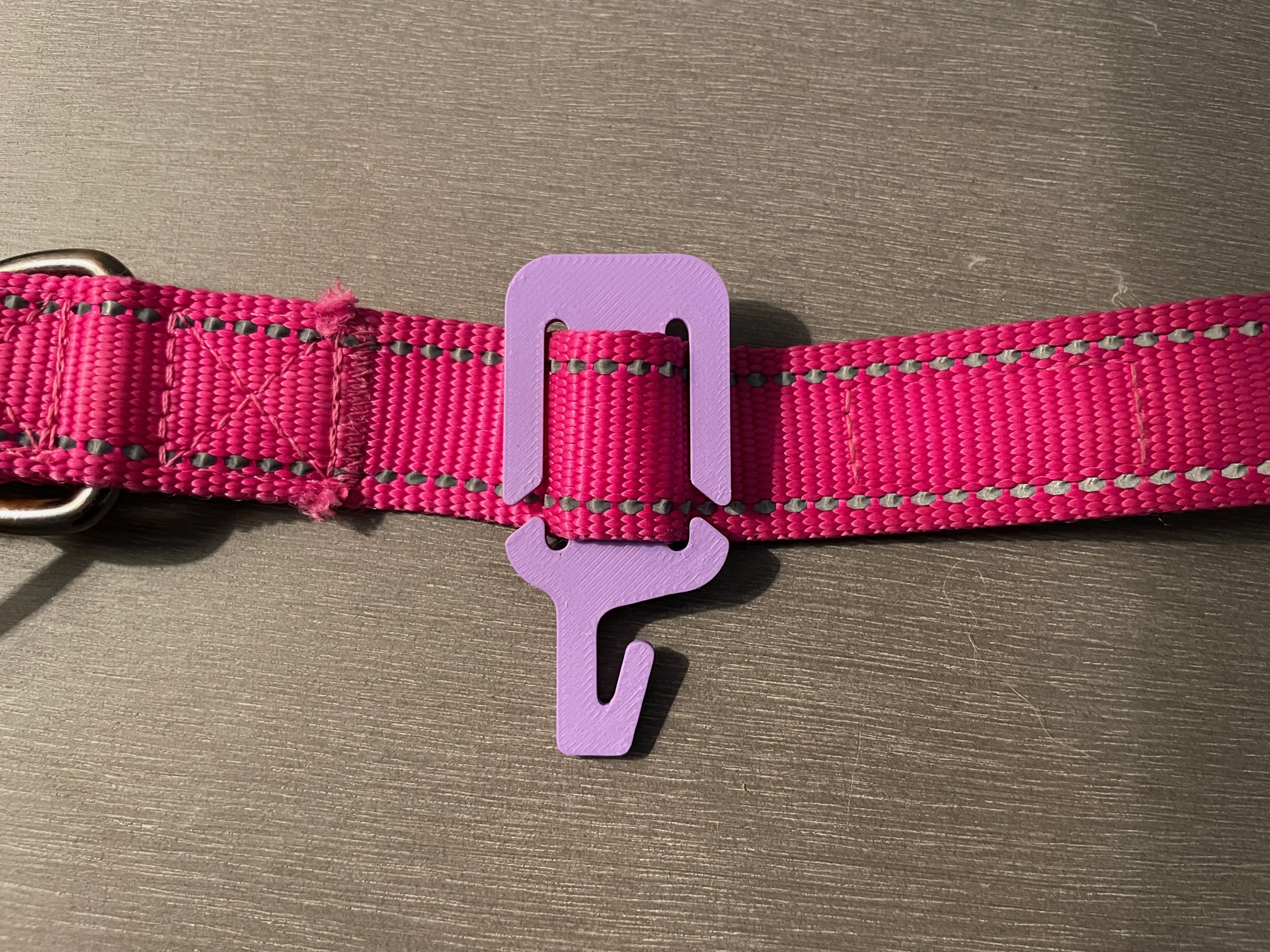 Dog Leash or Strap Bag Holder