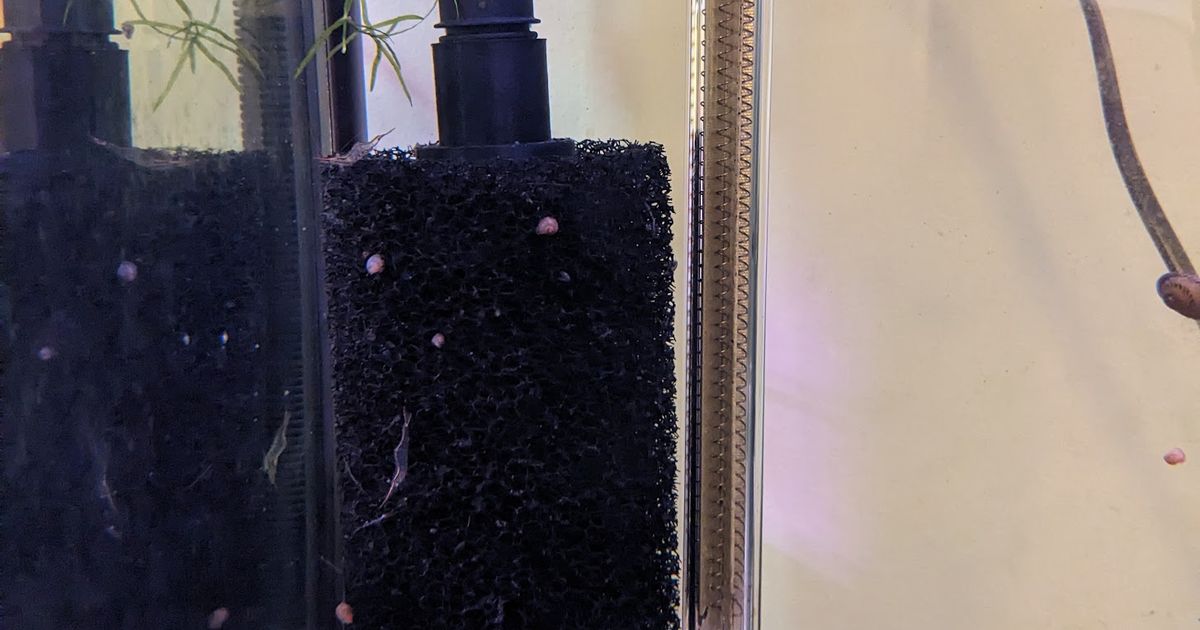 Fluval FX4 Intake adapter for Aquarium Coop Large Prefilter Sponge by