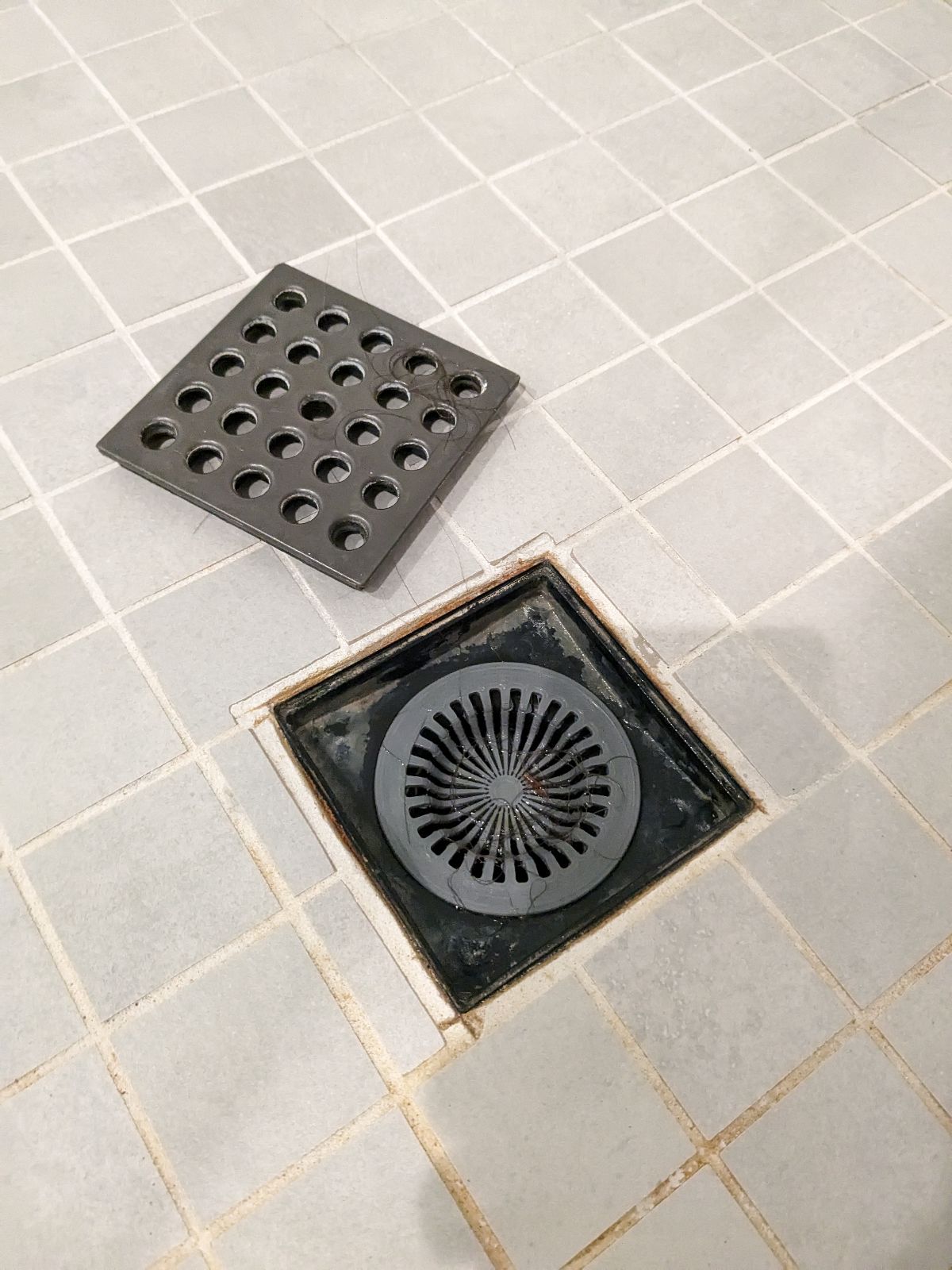 Replacement Shower Drain Strainer