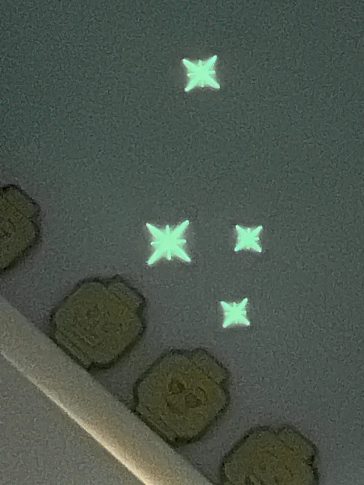 Star by Linus Glade | Download free STL model | Printables.com
