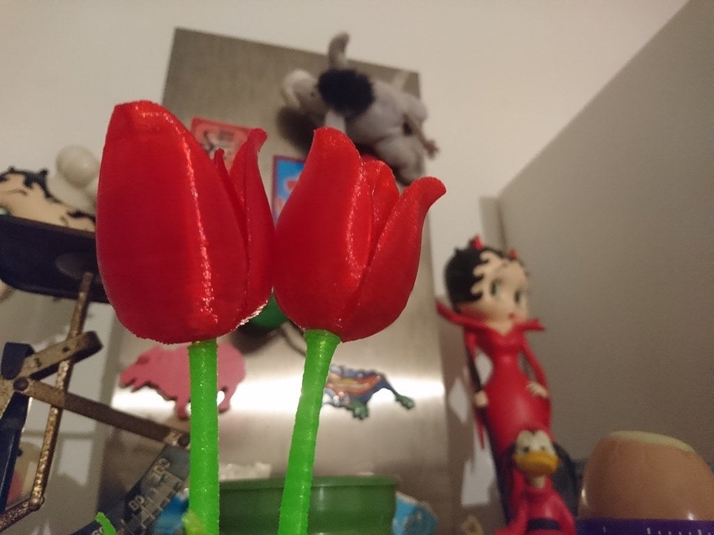 Miniatura 2 do modelo 3D Magnetic tulip