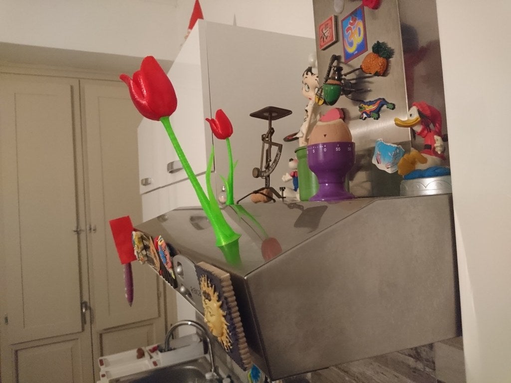 Miniatura 3 do modelo 3D Magnetic tulip