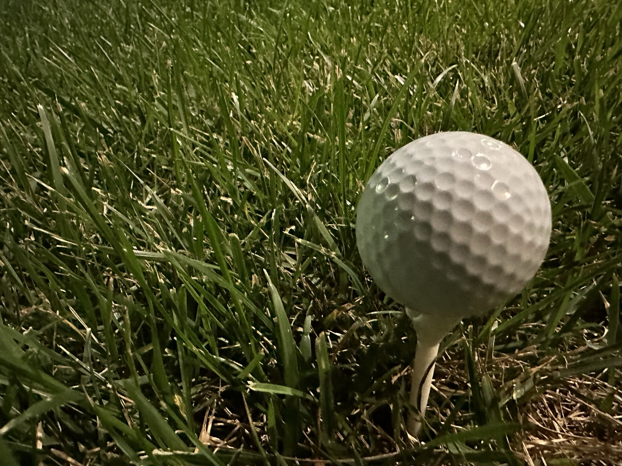 Miniatura 2 do modelo 3D Golf Tees 6 Sizes