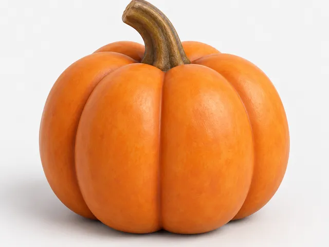 Pumpkin Collection – 3 Shapes & Sizes | Fall & Halloween Decor