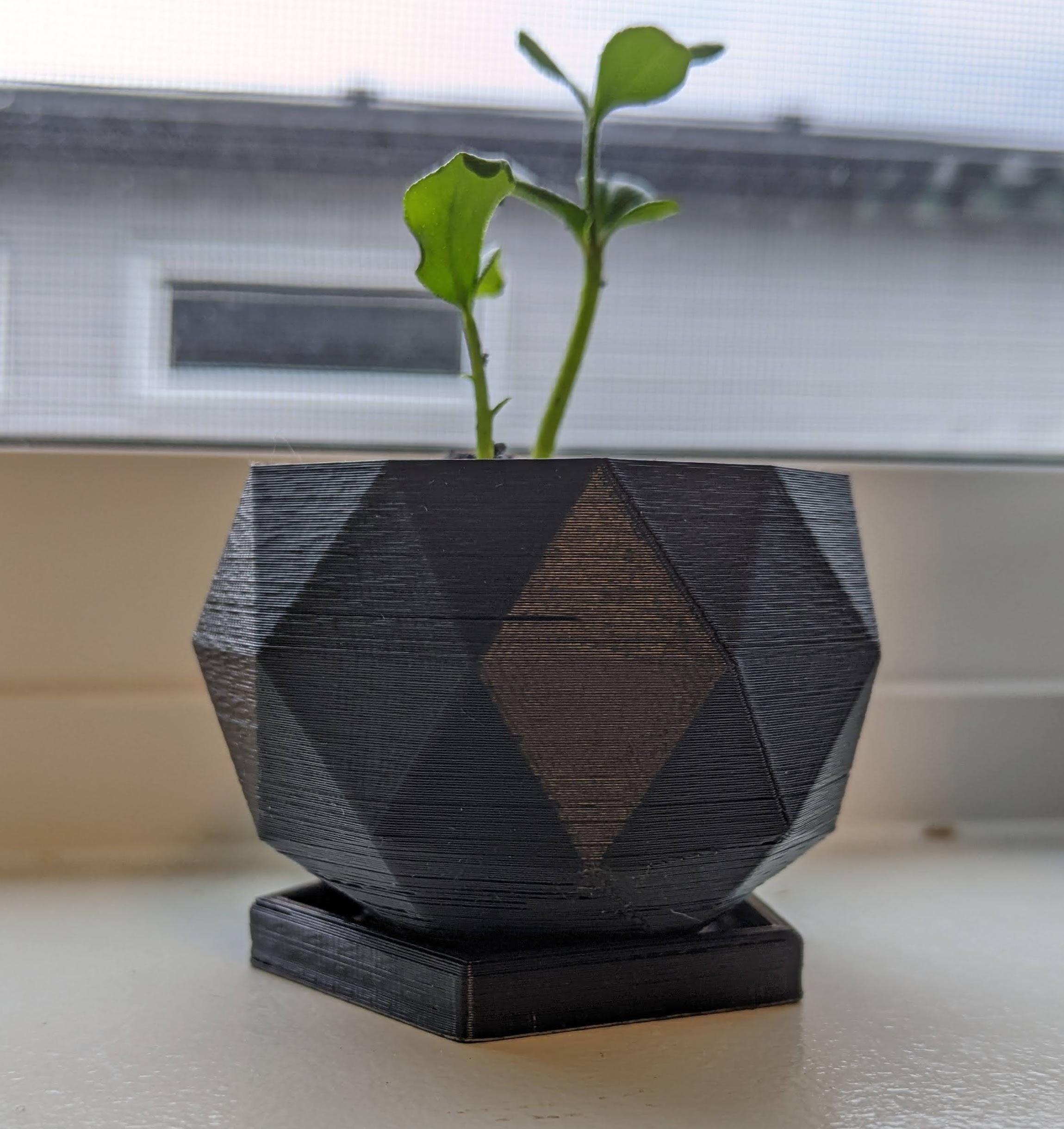 Tray for Plant Pot by Marc Izquierdo