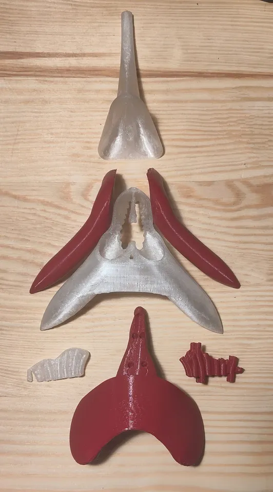 clitorisclitoris Beta Version] Anatomic Model of the Clitoris for Education by  triceratopsandbottoms | Download free STL model | Printables.com