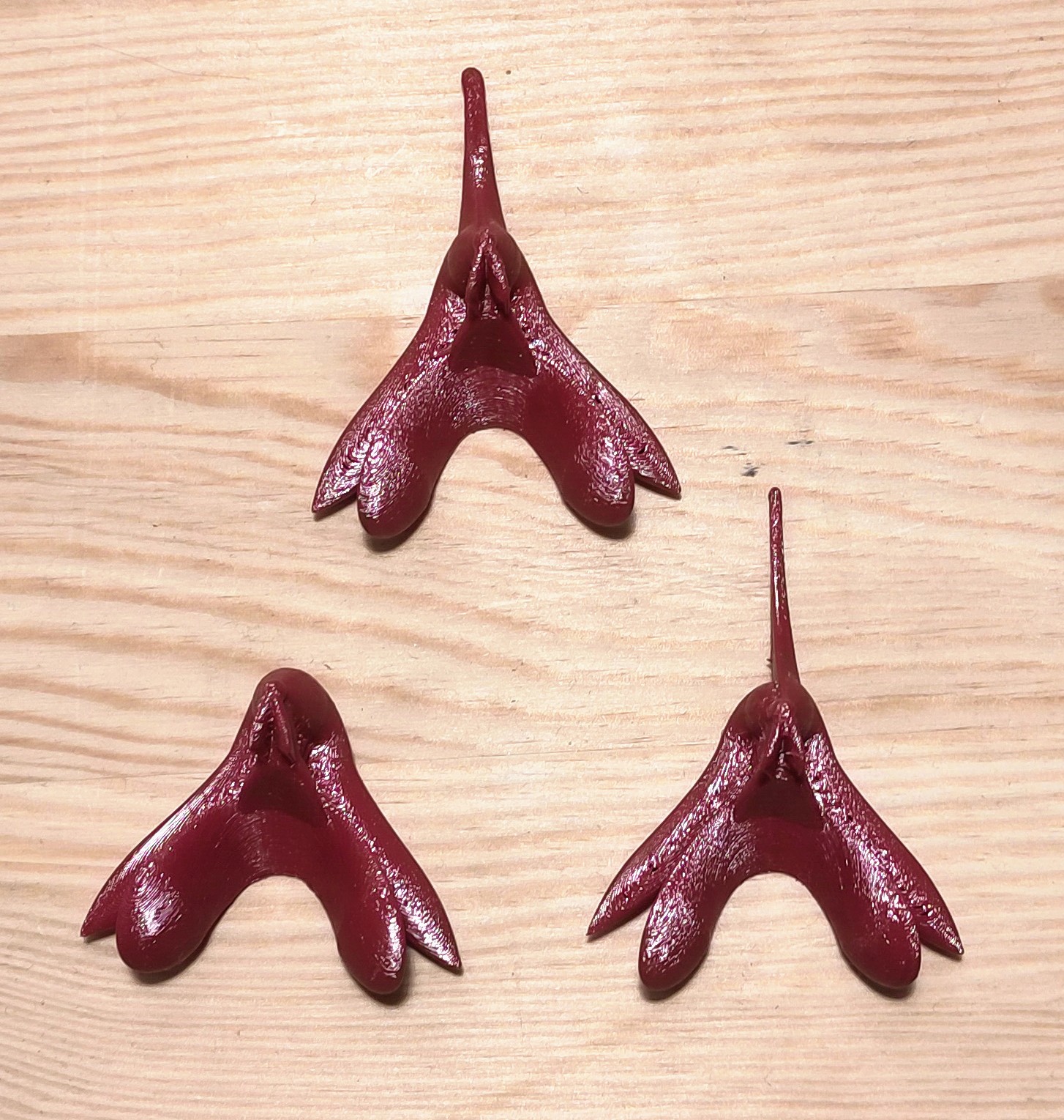 beta-version-life-sized-human-clitoris-anatomically-correct-by