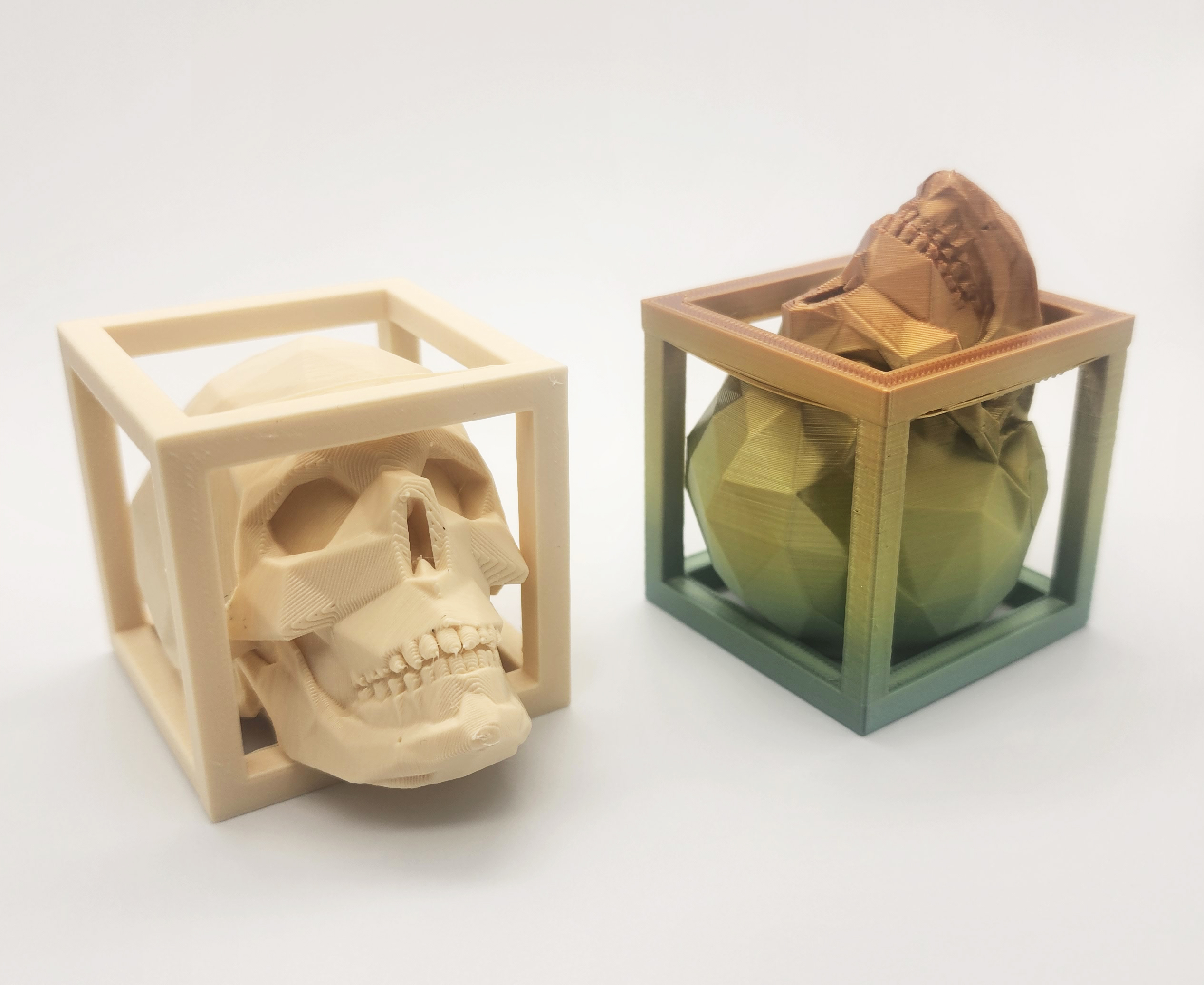 Low Poly Captured Skull - No Supports