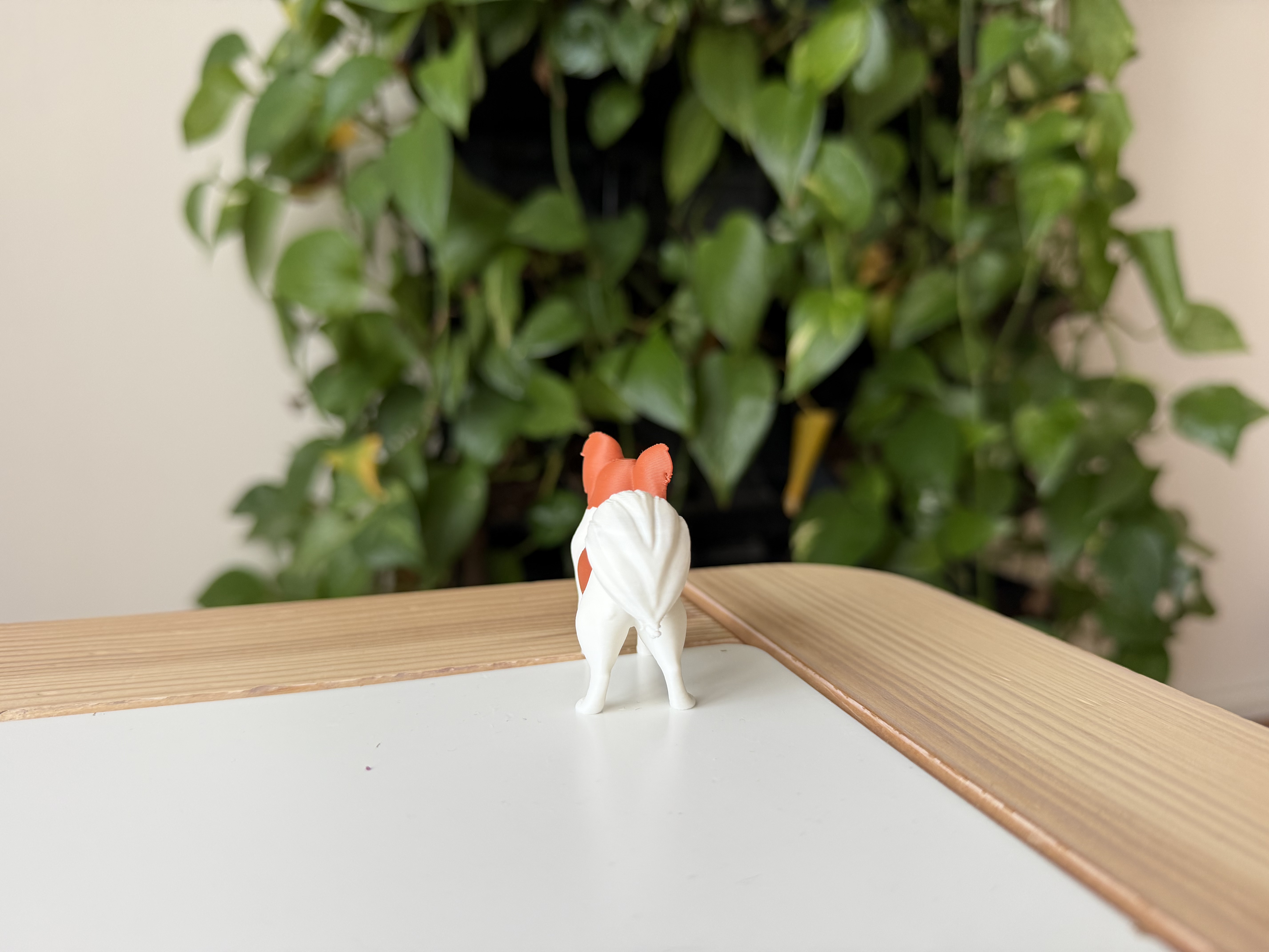 Miniatura 5 do modelo 3D Papillon