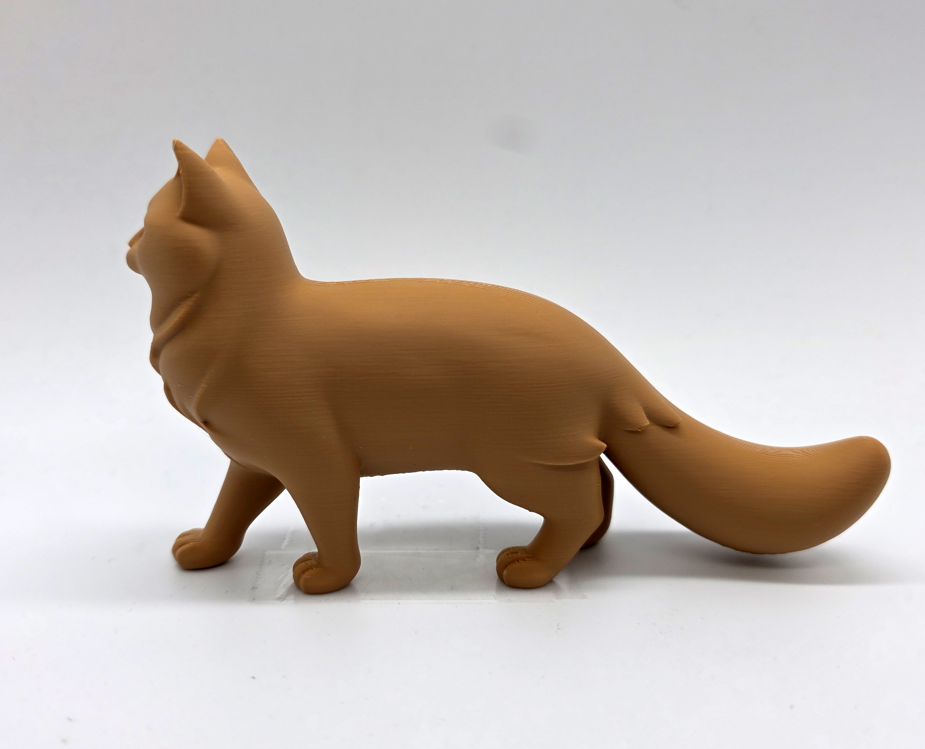 Walking Cat Fluffy Tail — thumbnail 6