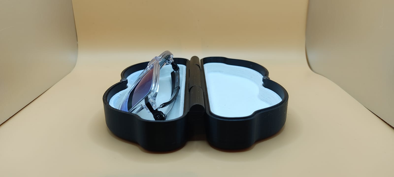 Print In Place Sunglasses Case