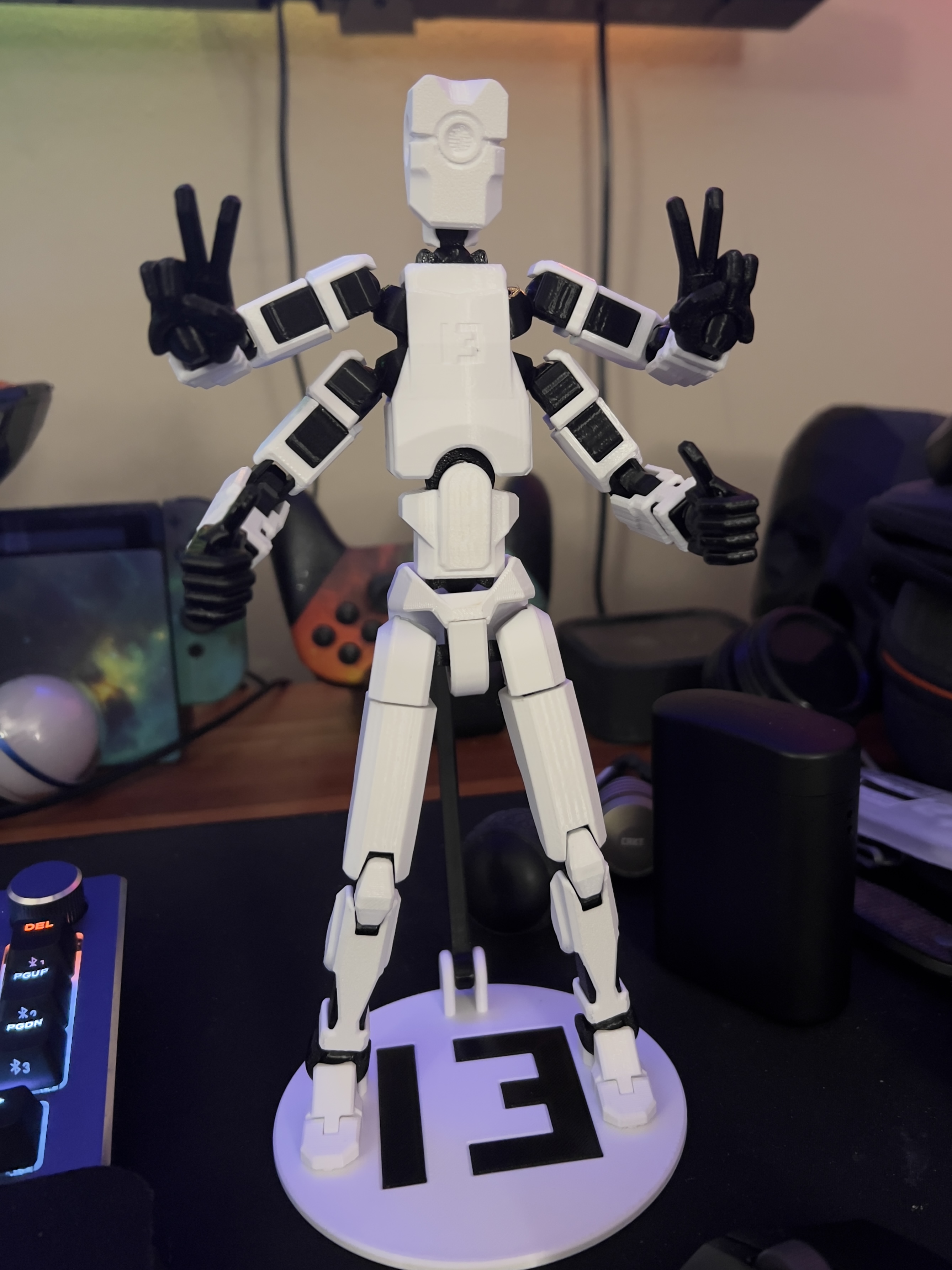 Dummy 13 4-Armed Torso