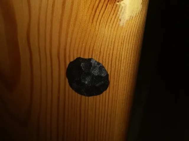 Forged Screw cover