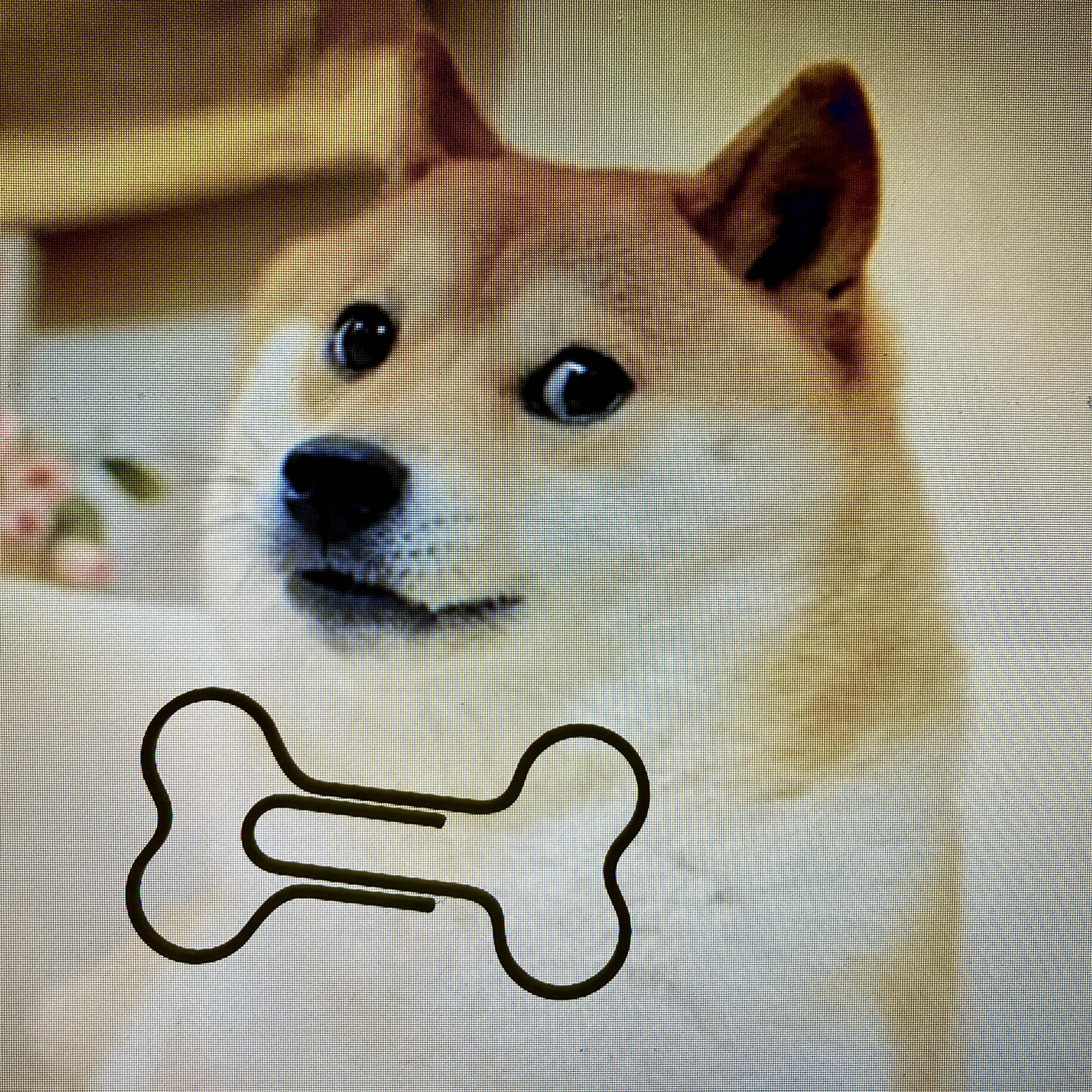 Paper clip bone shaped