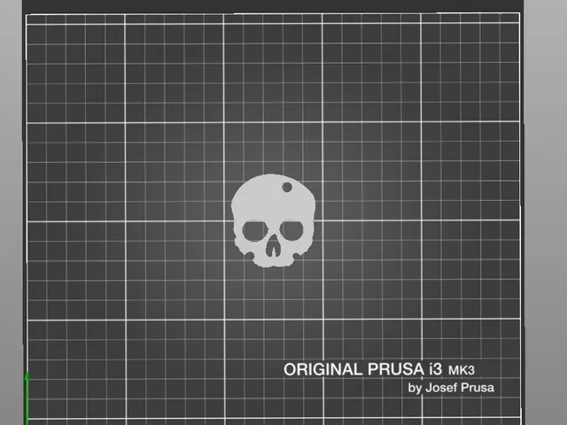 Skull Keychain