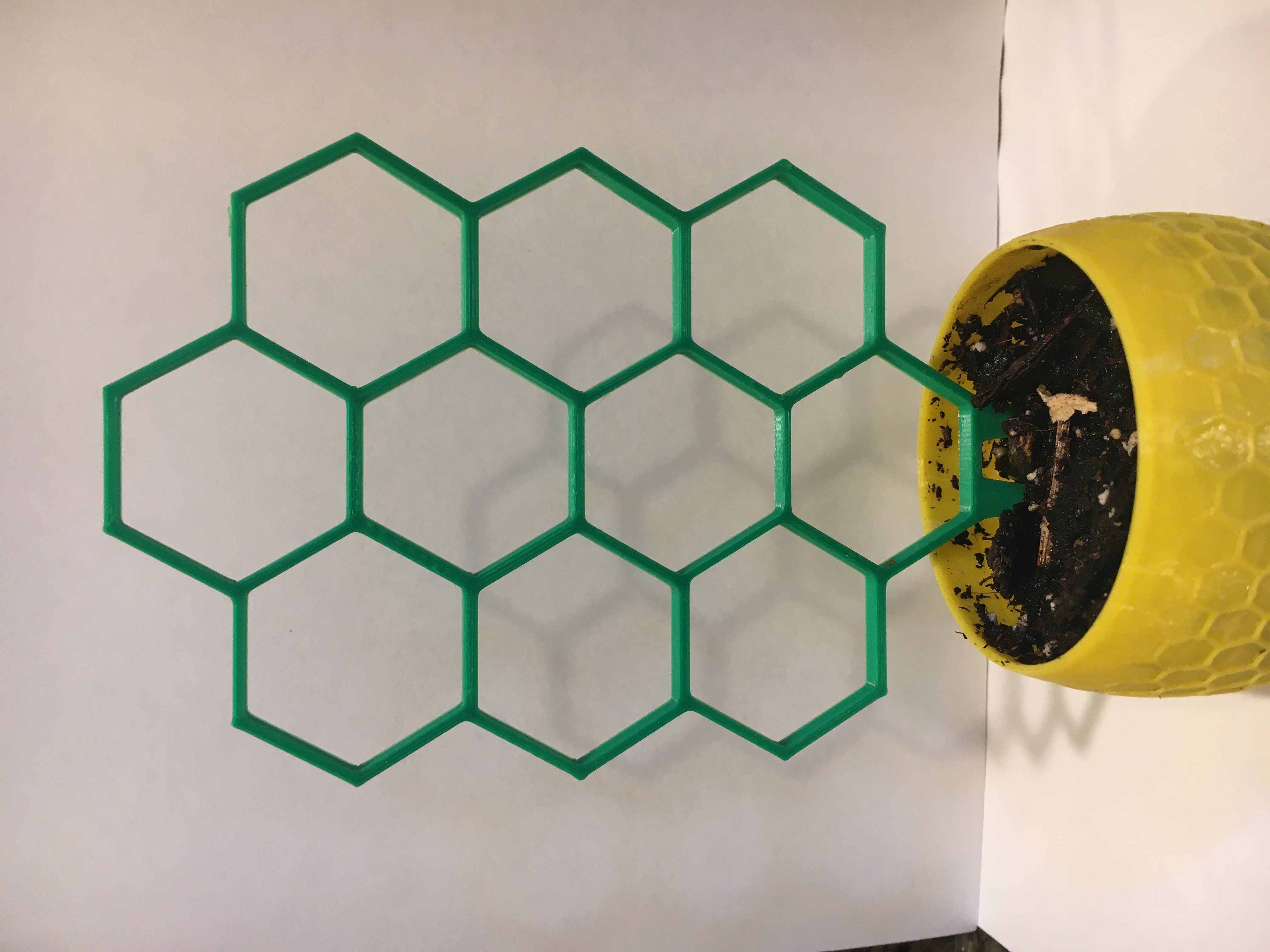 Hexagon House Plant Support