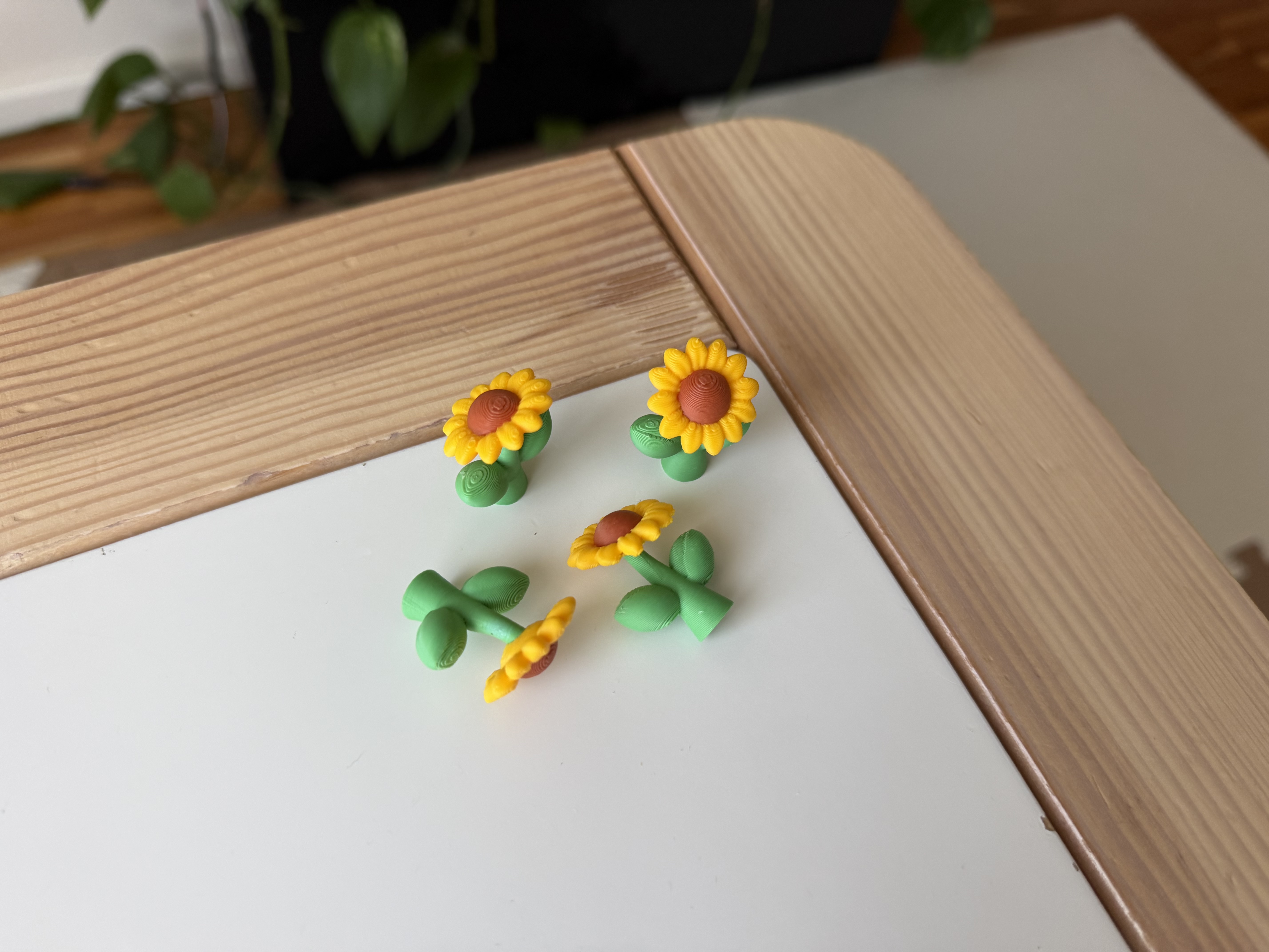 Sunflower — miniatura 5
