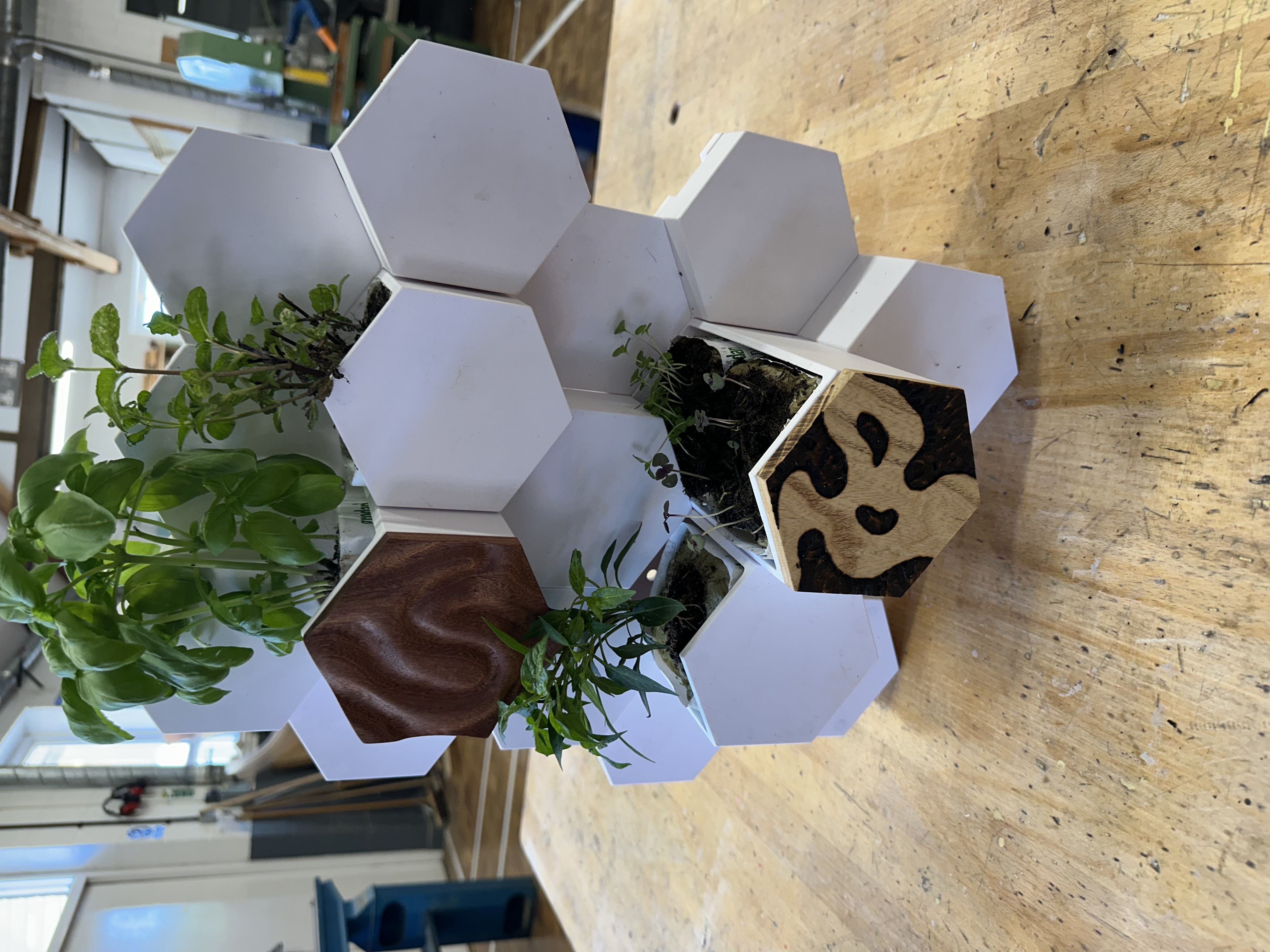 Modular Hydroponic Growing System – Wall-Mounted Urban Farm