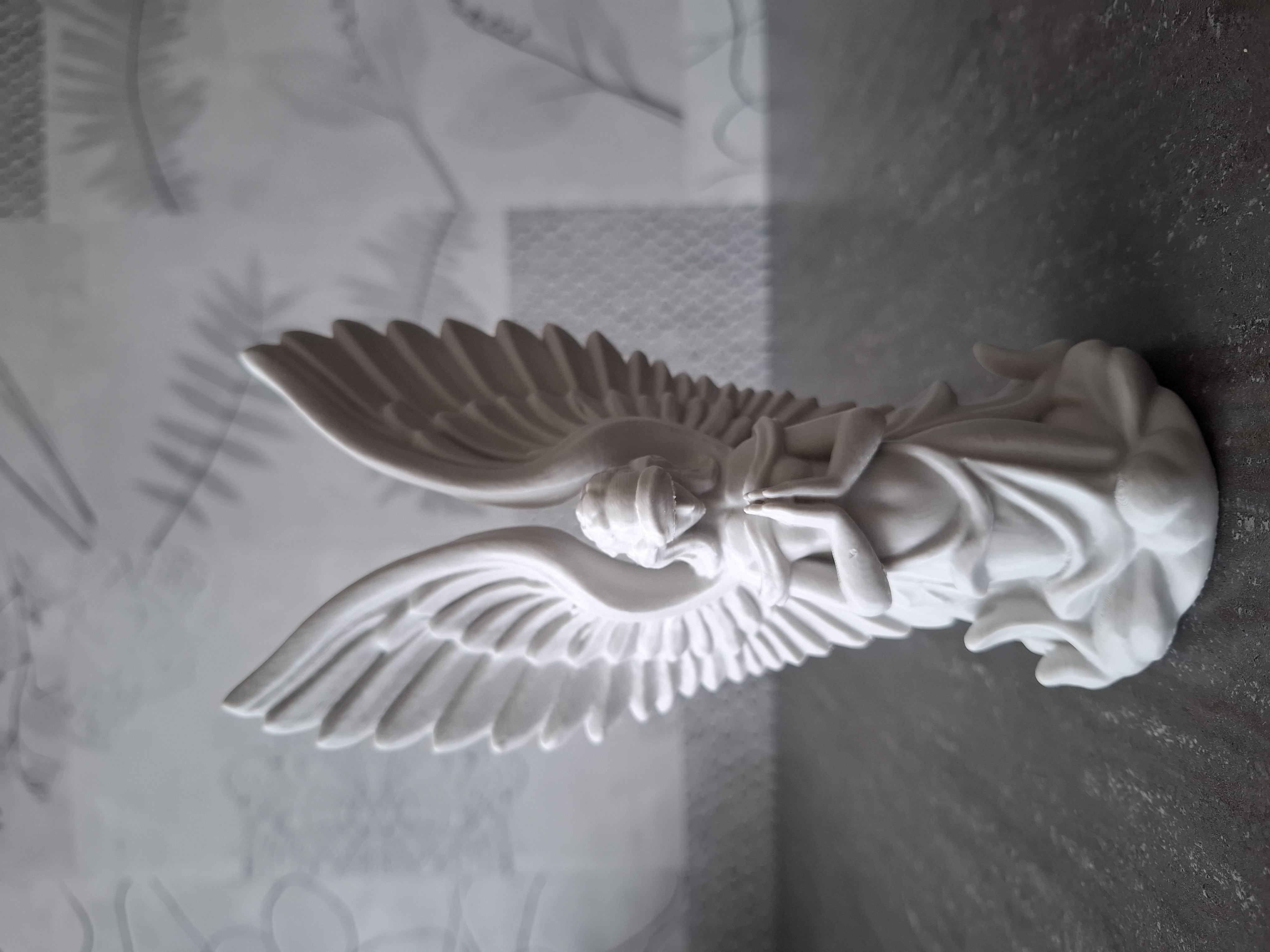 Angel Contemplation