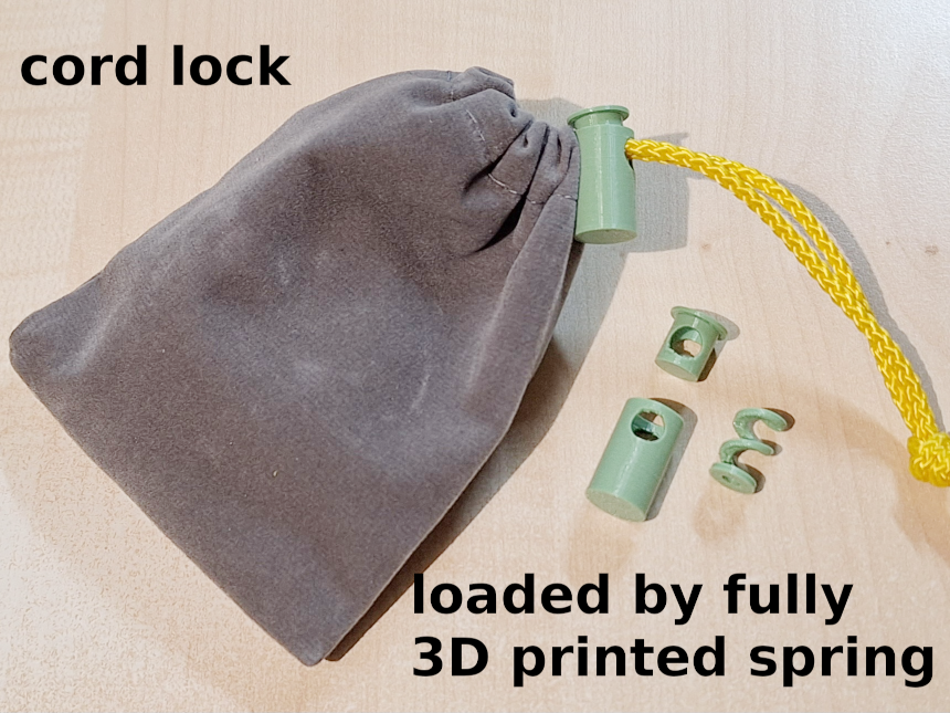 Spring cord lock