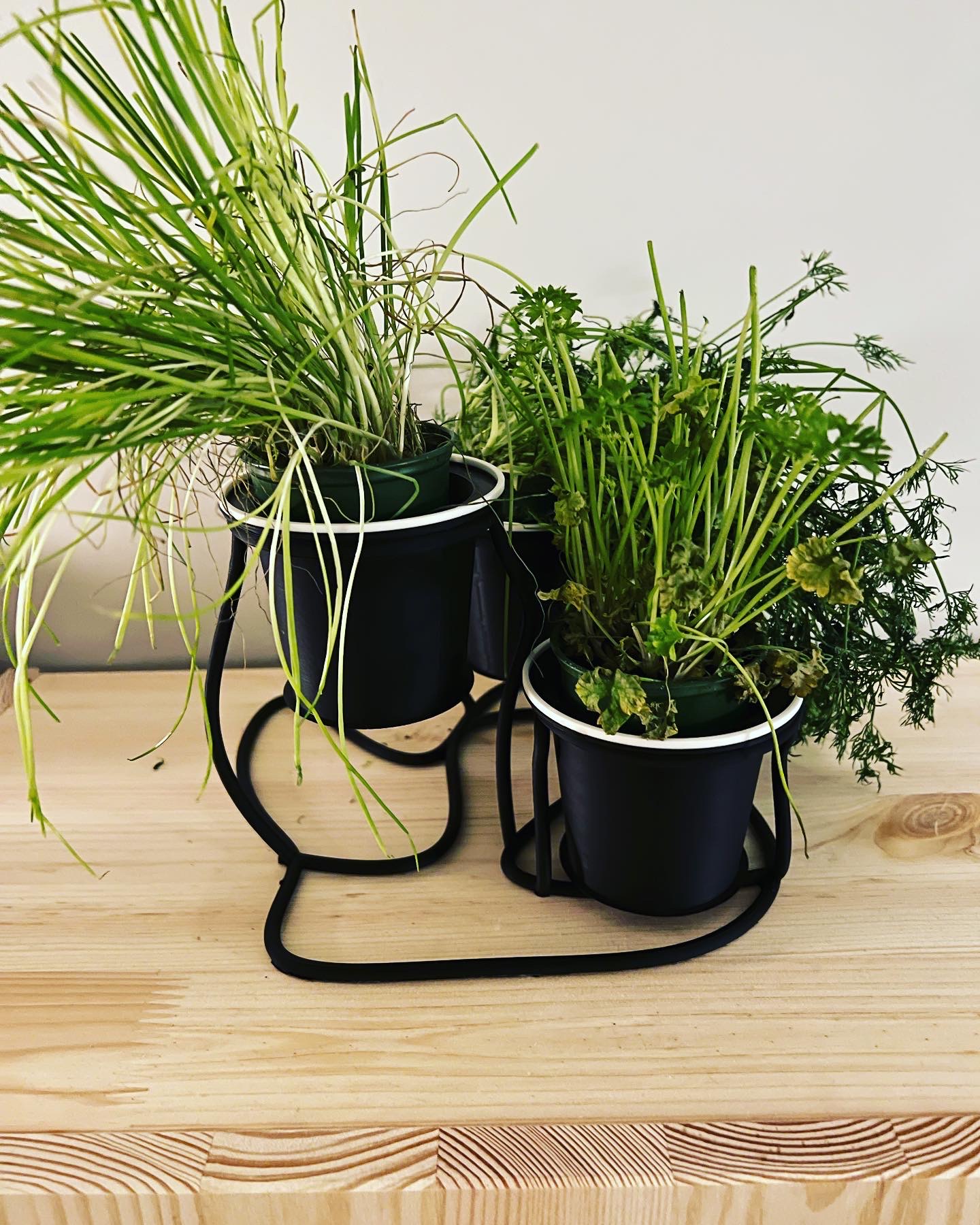 Stand for herbs — thumbnail 2