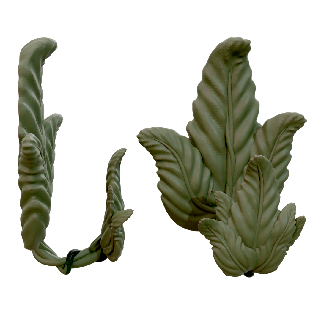 Vine Leafy hook for Command Strips