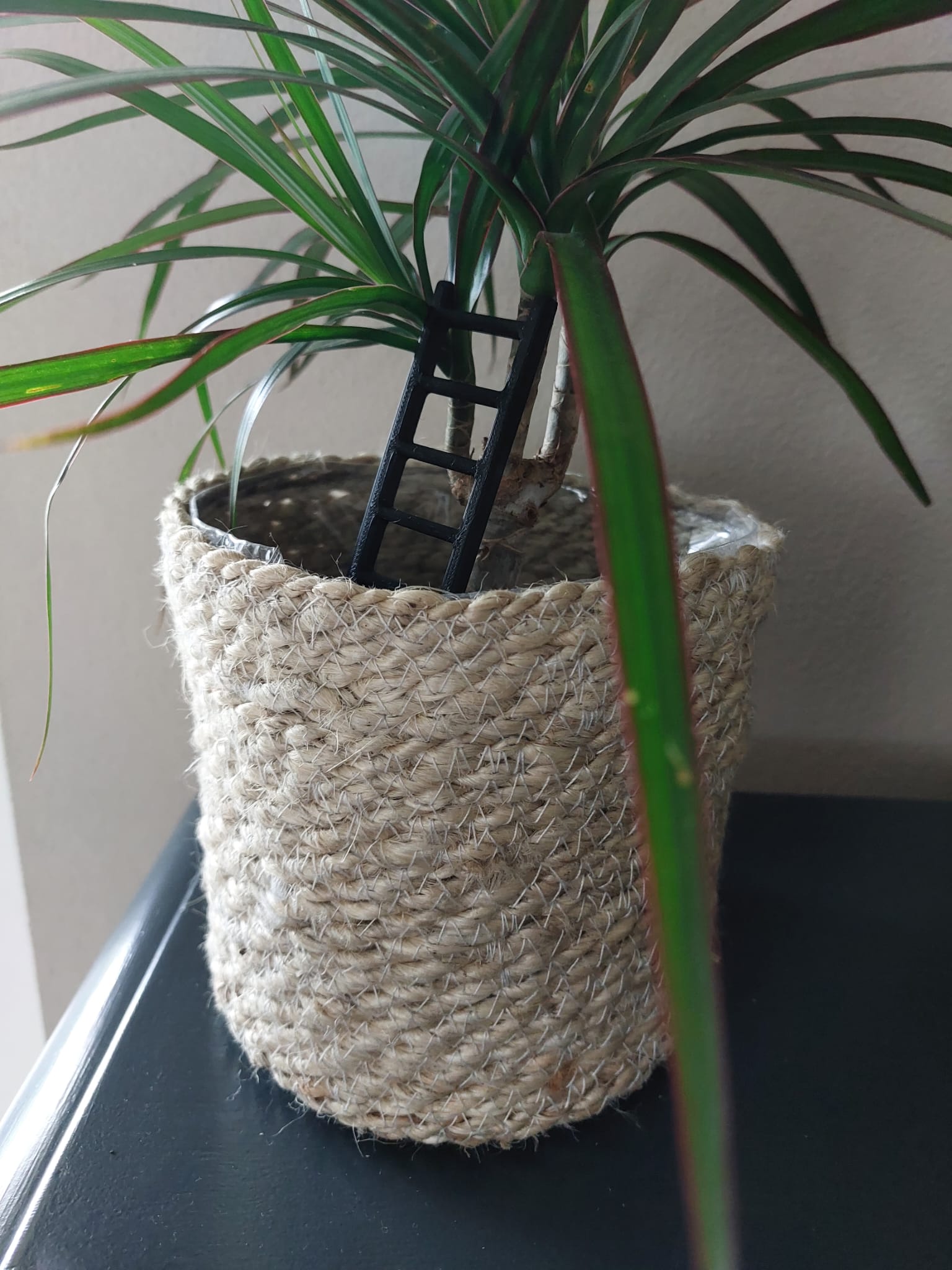 Plant ladder