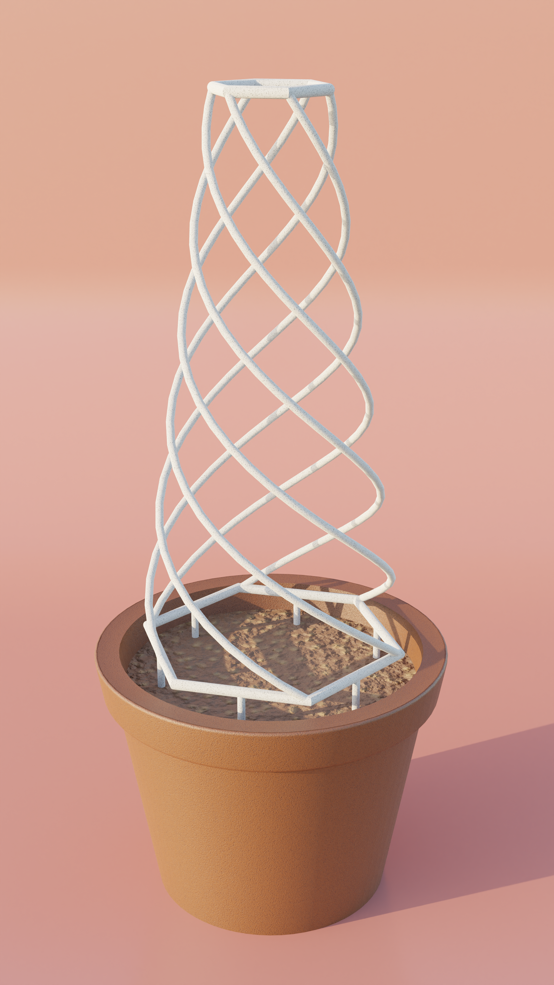 Spiral Plant Support