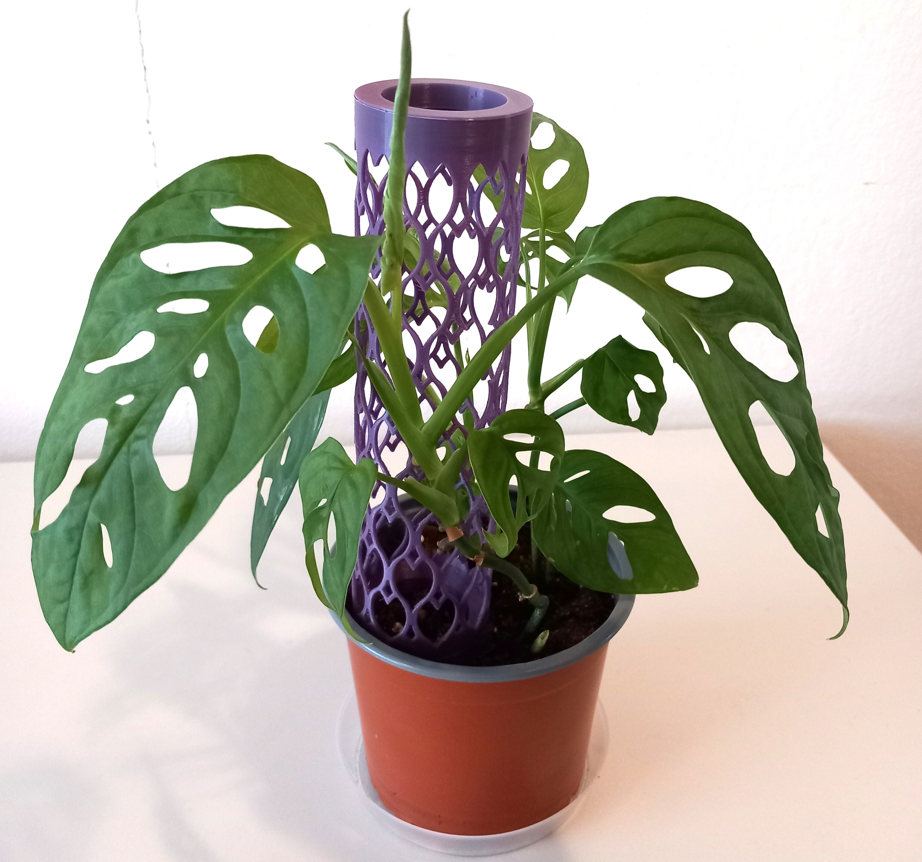 Miniatura 3 do modelo 3D LEAF Moss Pole