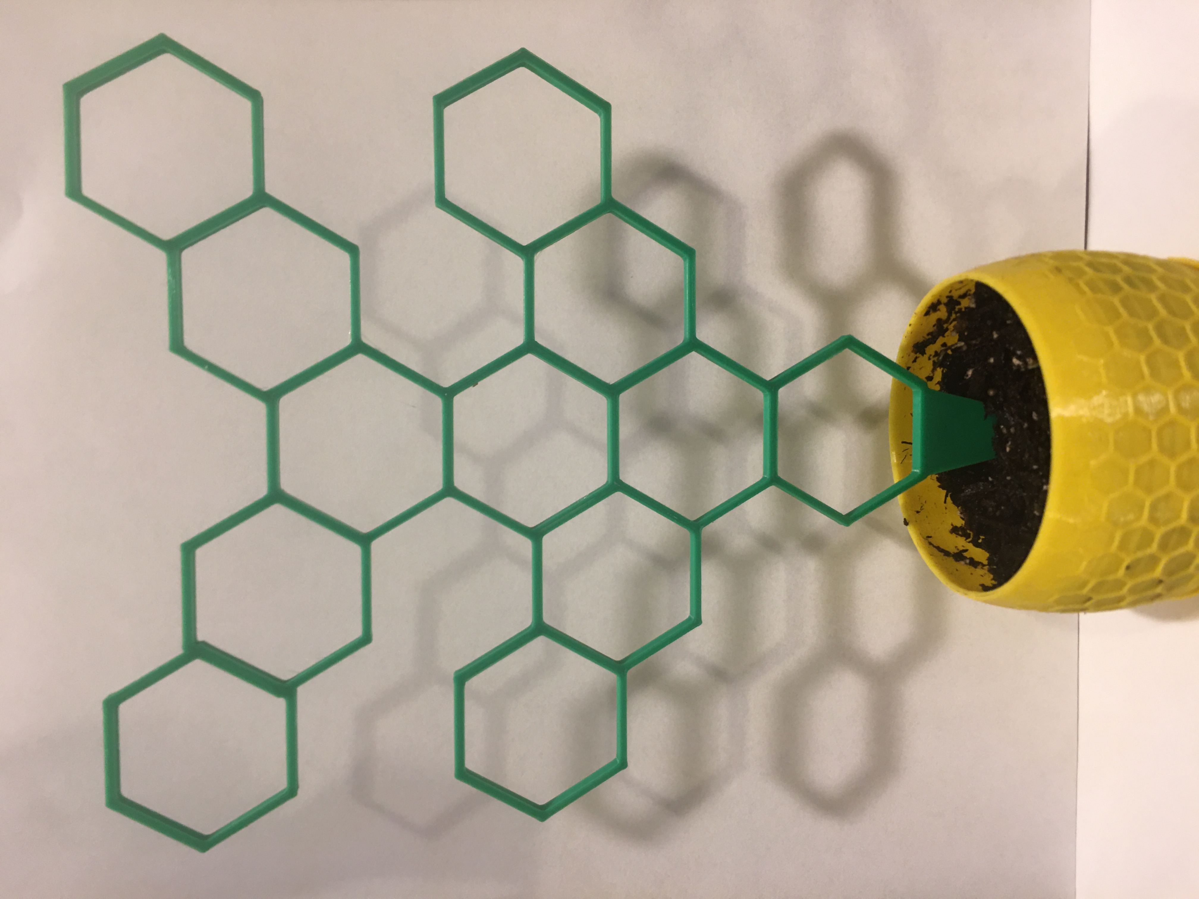 Hexagon Tree Houseplant Support