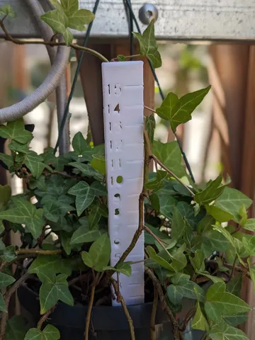 climbing plant measurer - mesureur de plante grimpante