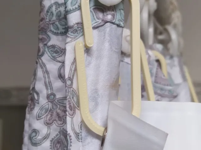 Shower Curtain hooks