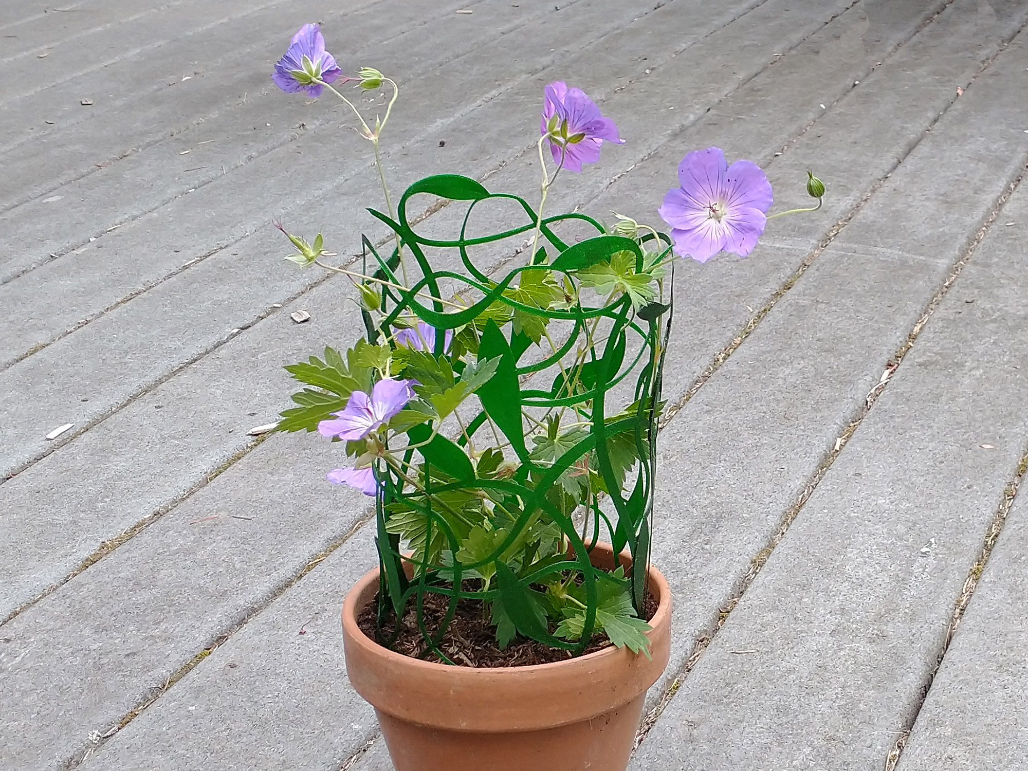 Tangled Vine Trellis — miniatura 2