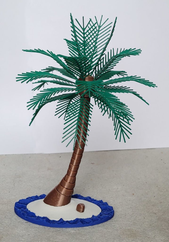 Coconut palm at the beach