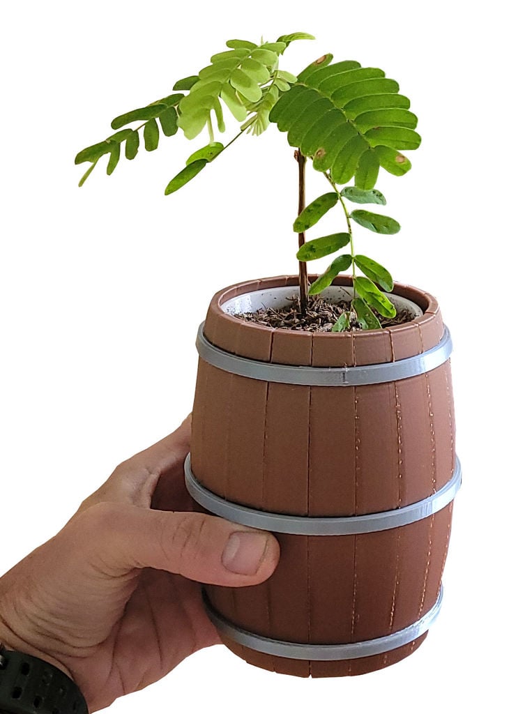 The wine barrel flower pot