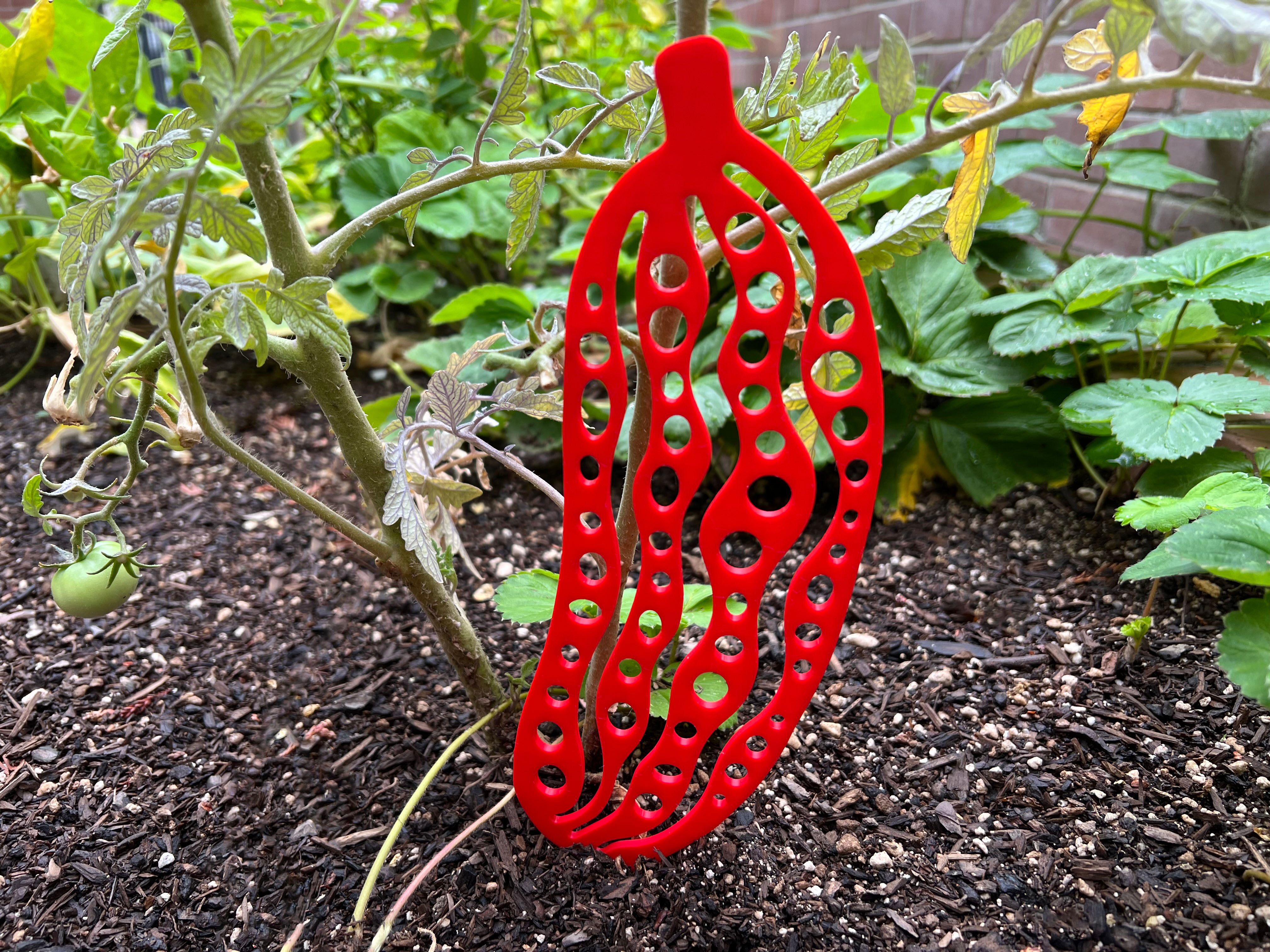 Cucumber Climber - Plant Support Stake, Garden Marker