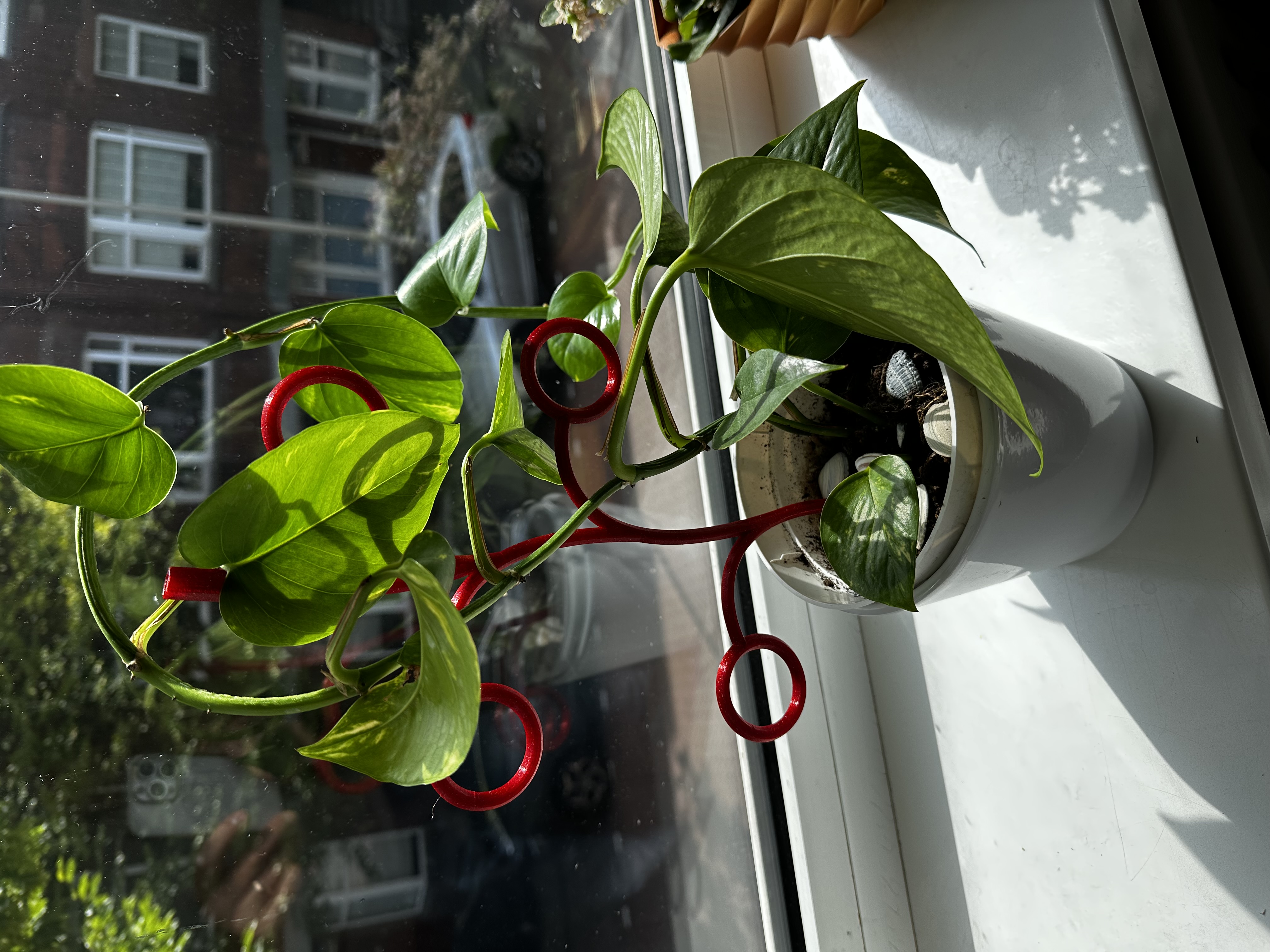 Extendable plant climber