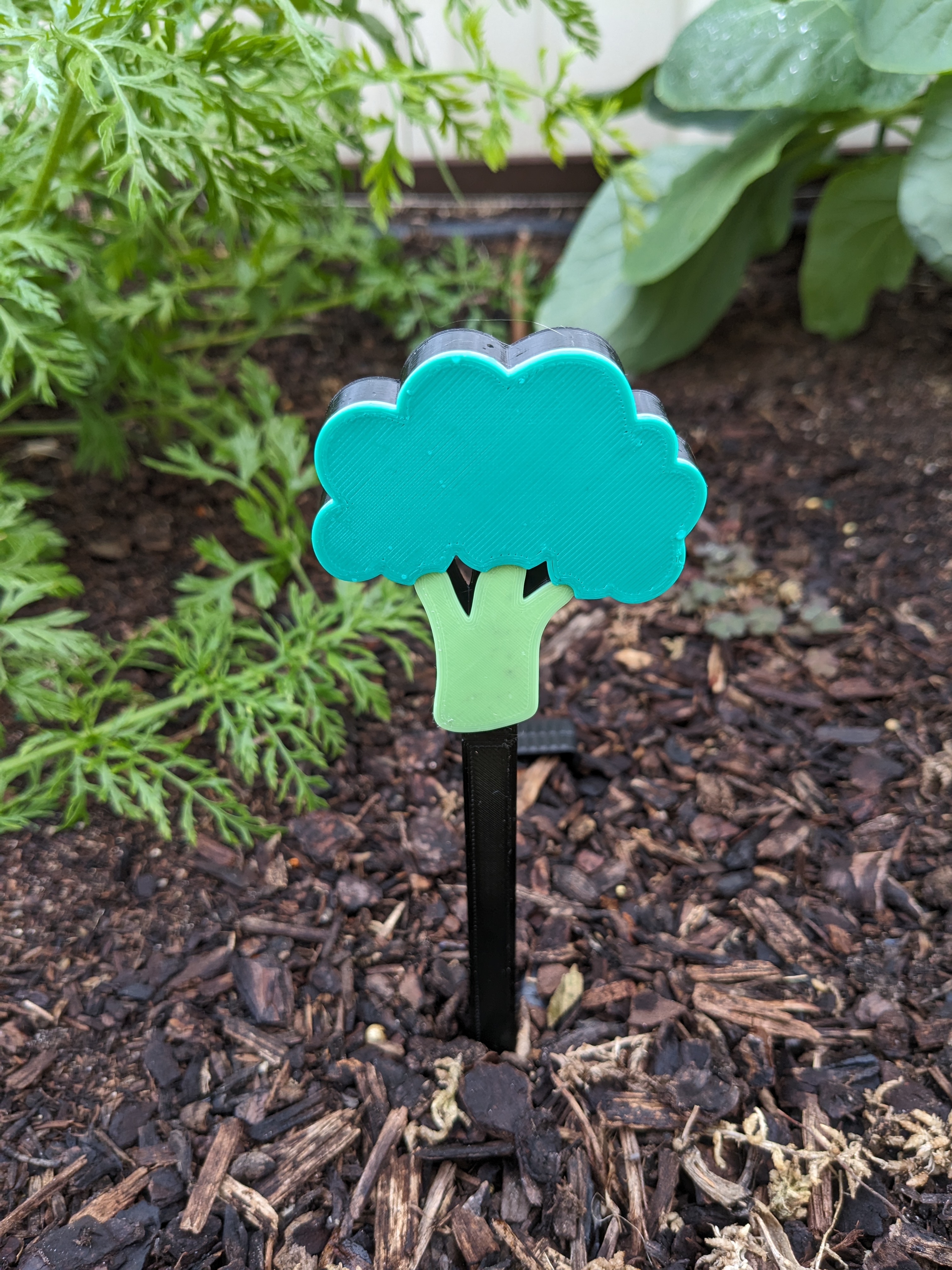 Broccoli Vegetable Marker