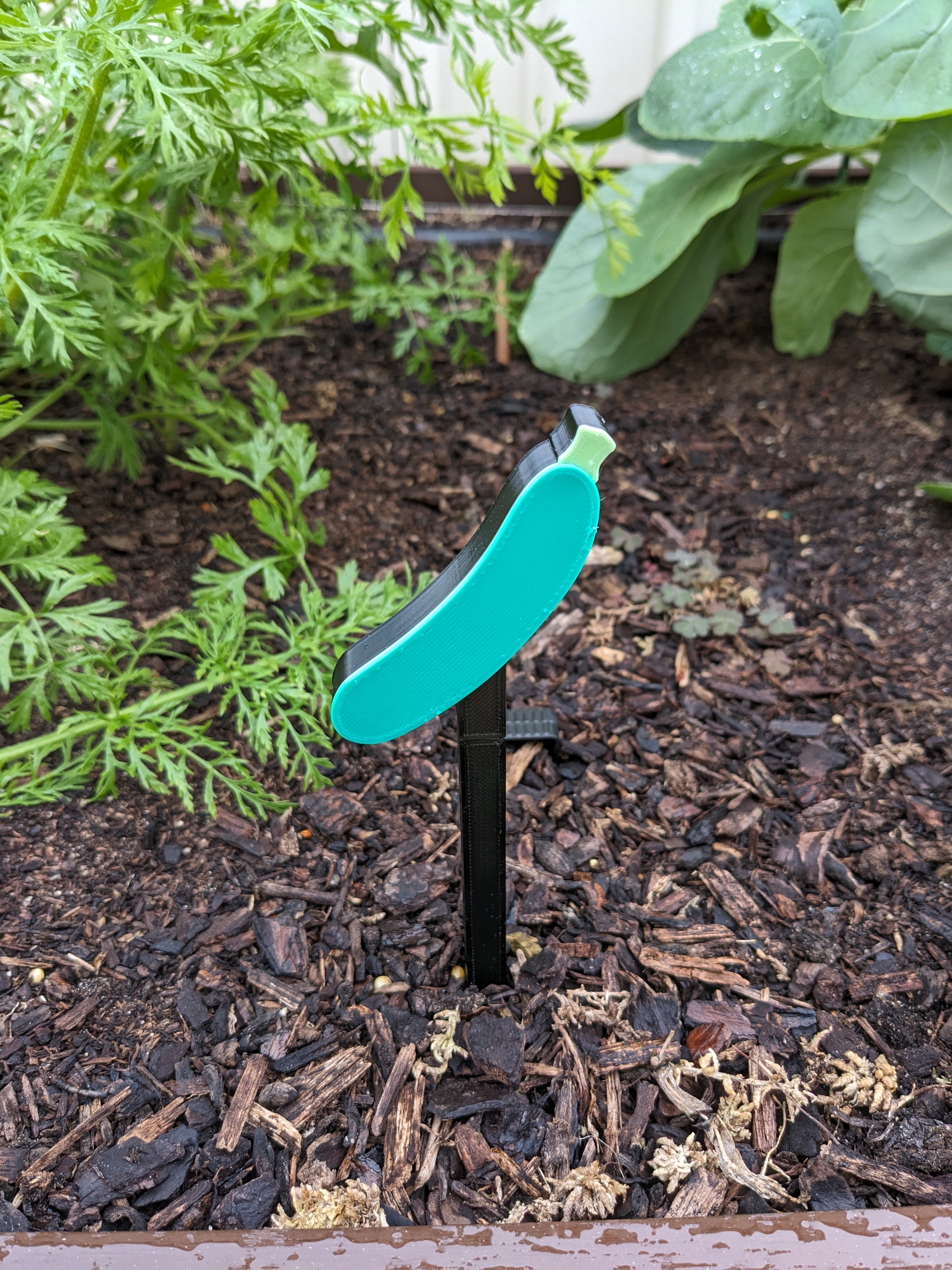 Zucchini Vegetable Marker