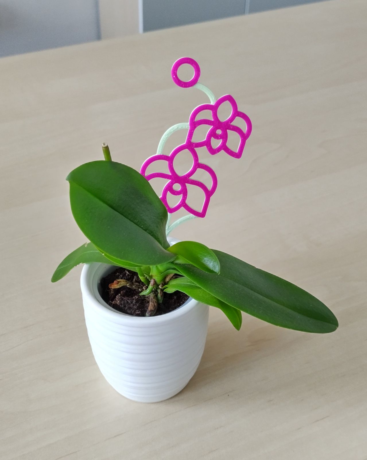 Orchid Plant Support