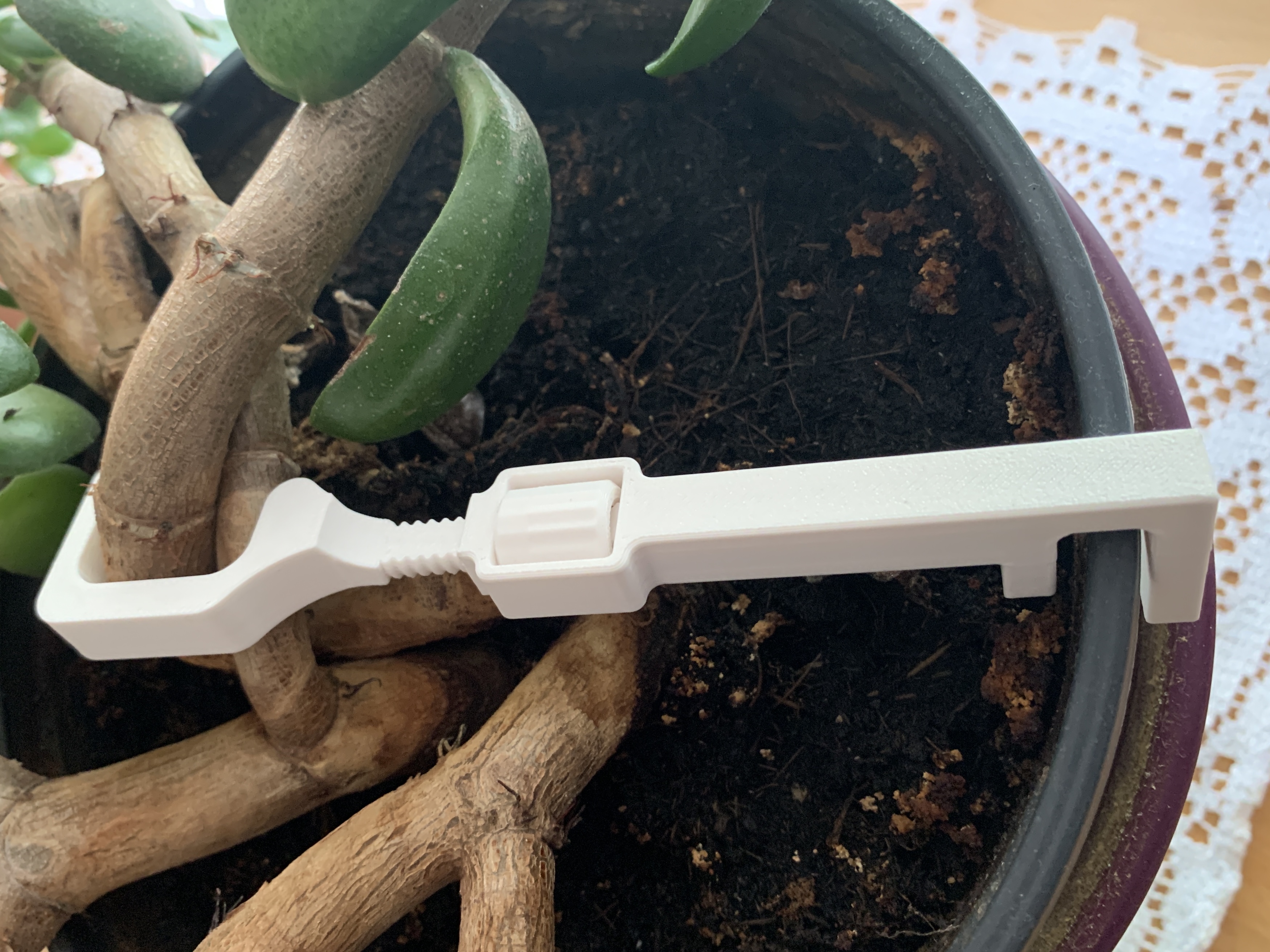 Adjustable plant support