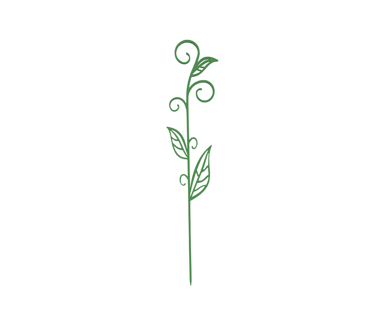 Plant Support