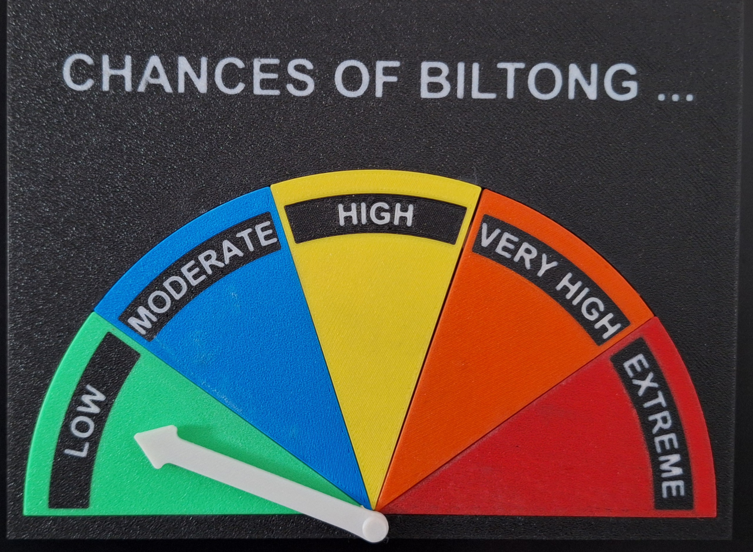 Biltong Fridge Magnet