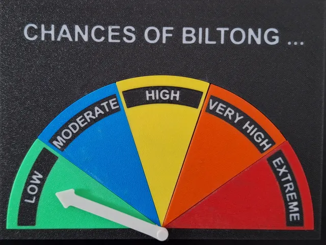 Biltong Fridge Magnet