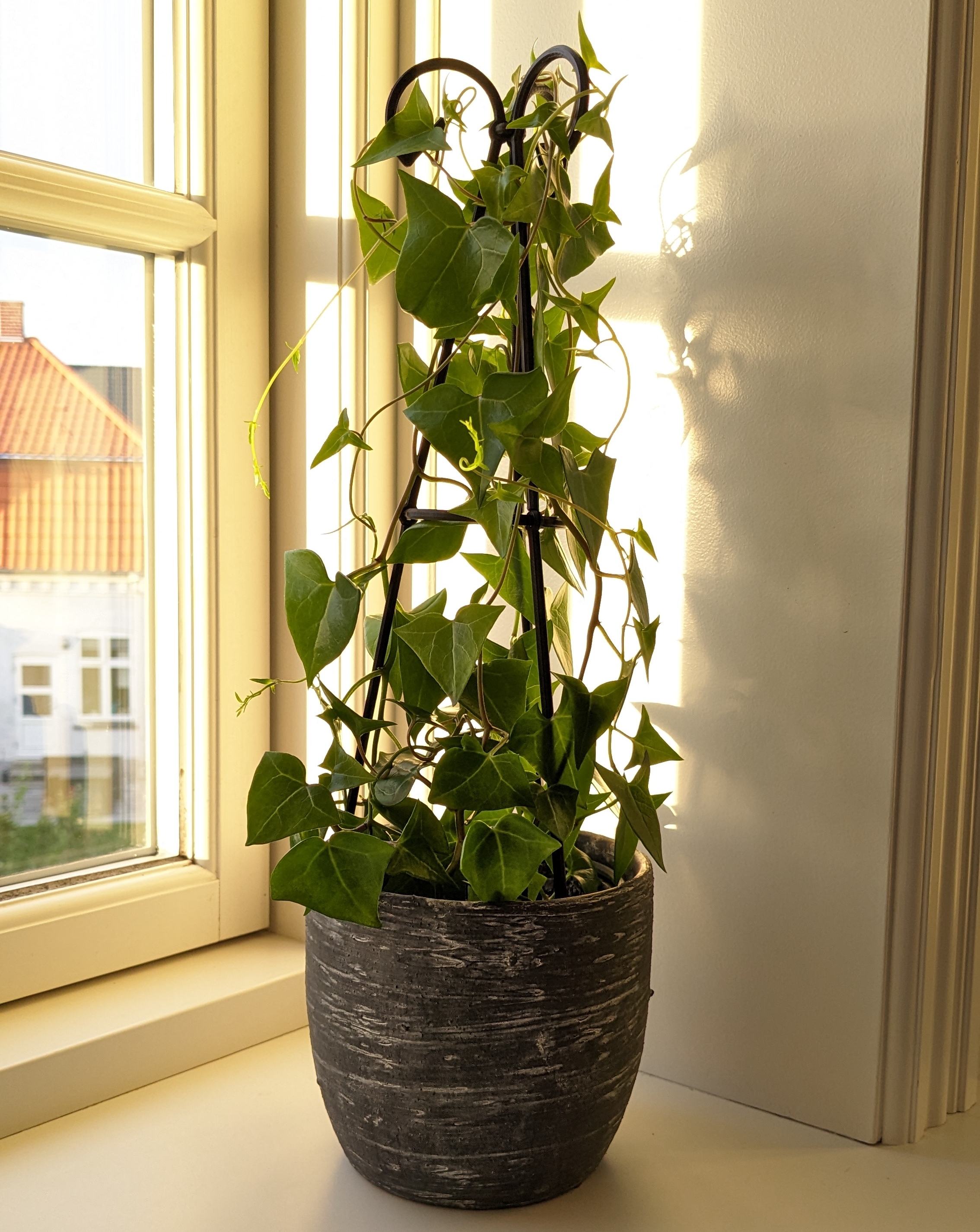 Plant Tower