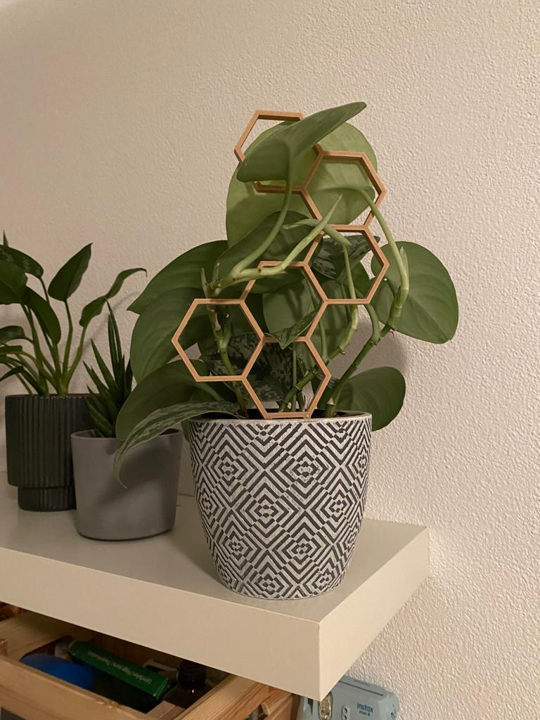 Multiple Plant Support / Plant Trellis / Hexagon / Honeycomb V2 3D model thumbnail