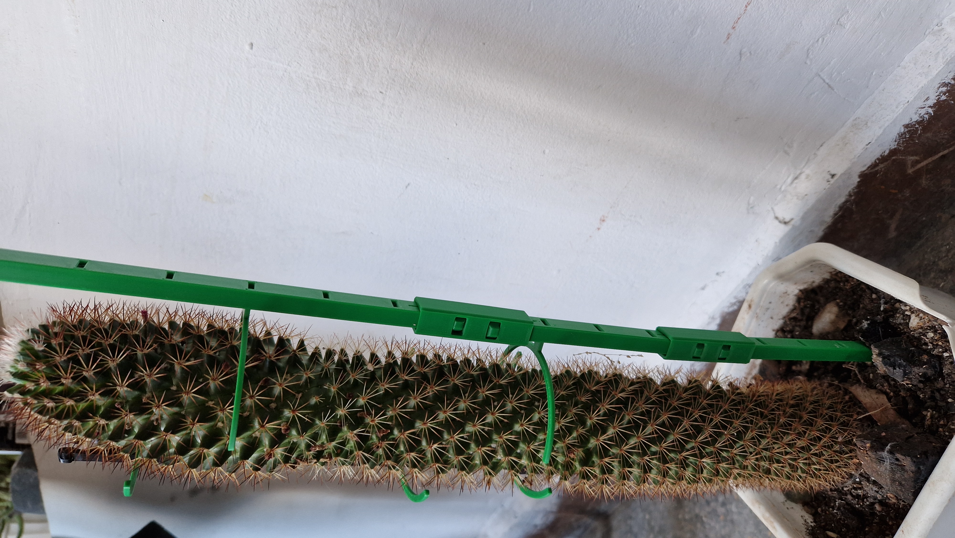 Plant support/holder