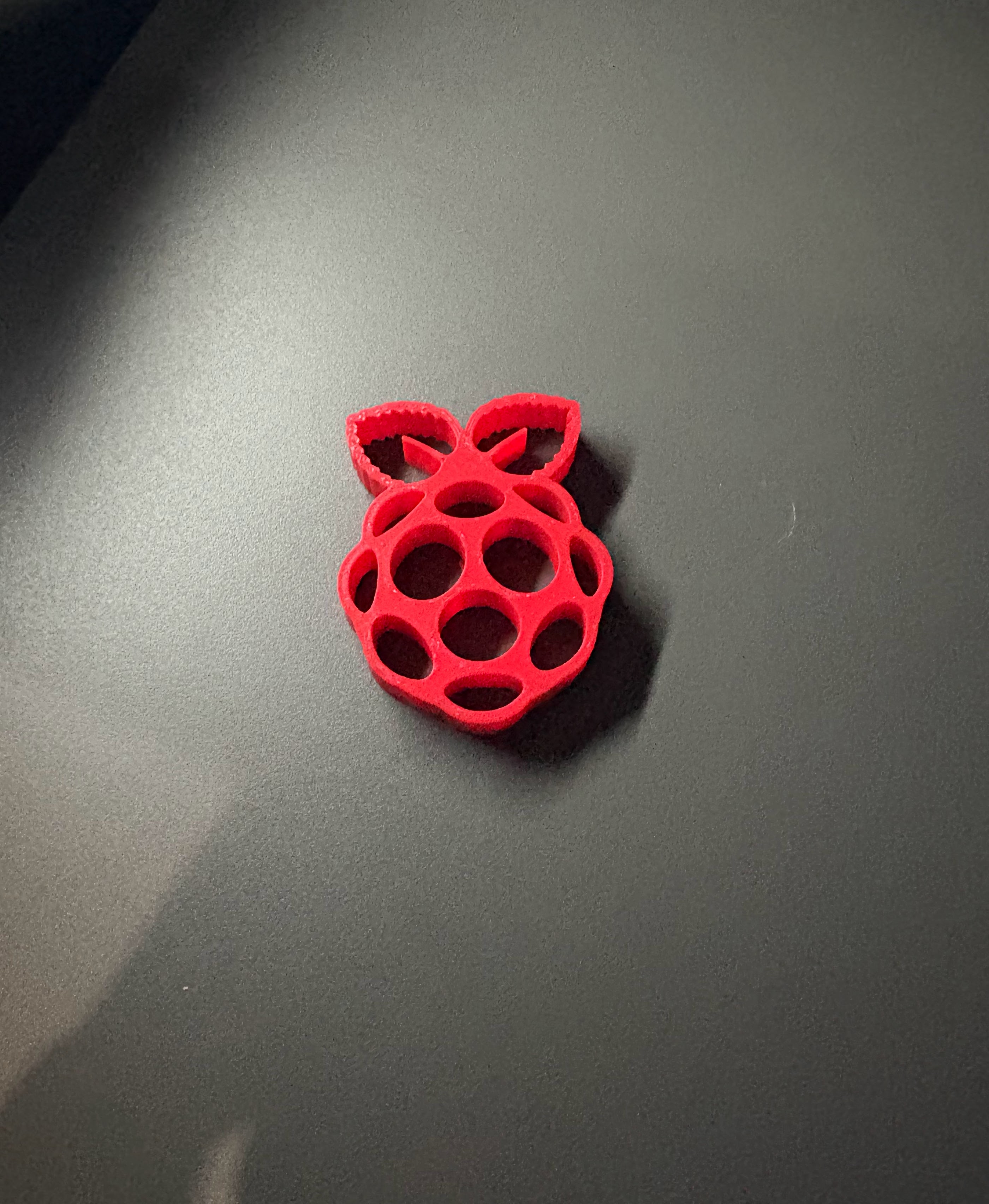Raspberry Pi Logo