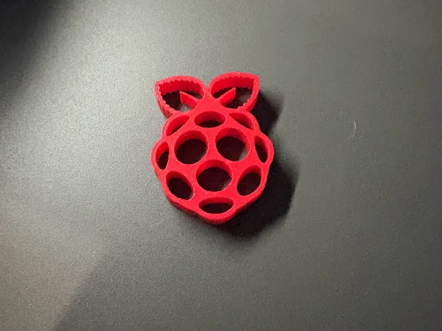 Raspberry Pi Logo