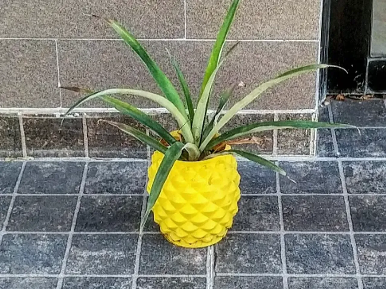 Pineapple planter by tato_713 | Download free STL model | Printables.com